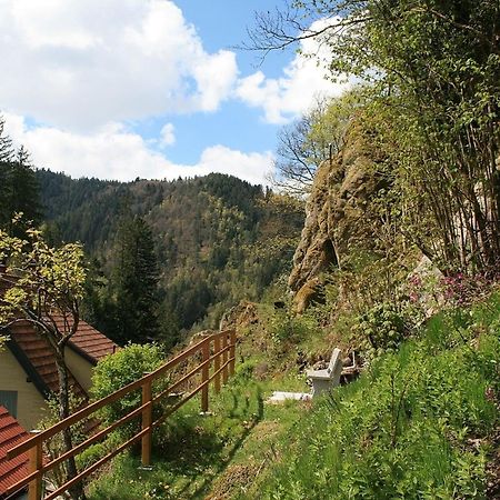 特里贝格Haus Am Waldrand别墅 外观 照片