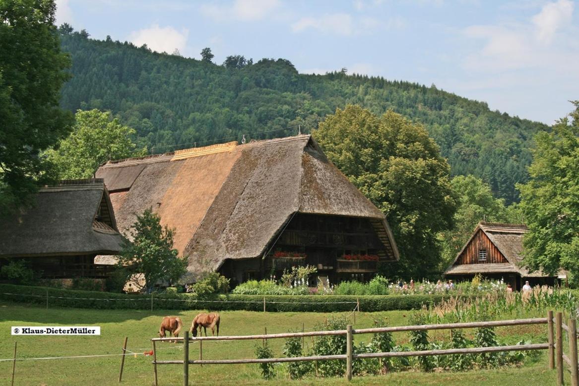 特里贝格Haus Am Waldrand别墅 外观 照片