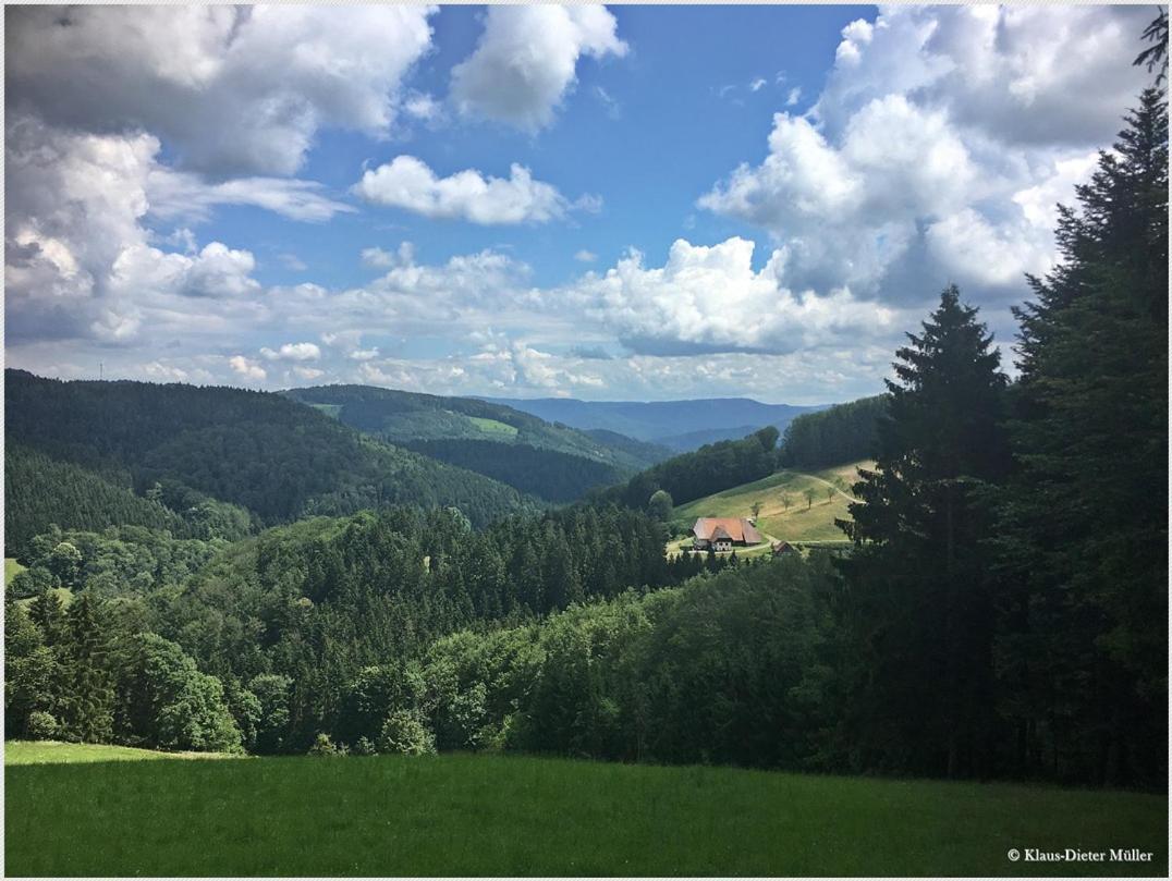 特里贝格Haus Am Waldrand别墅 外观 照片