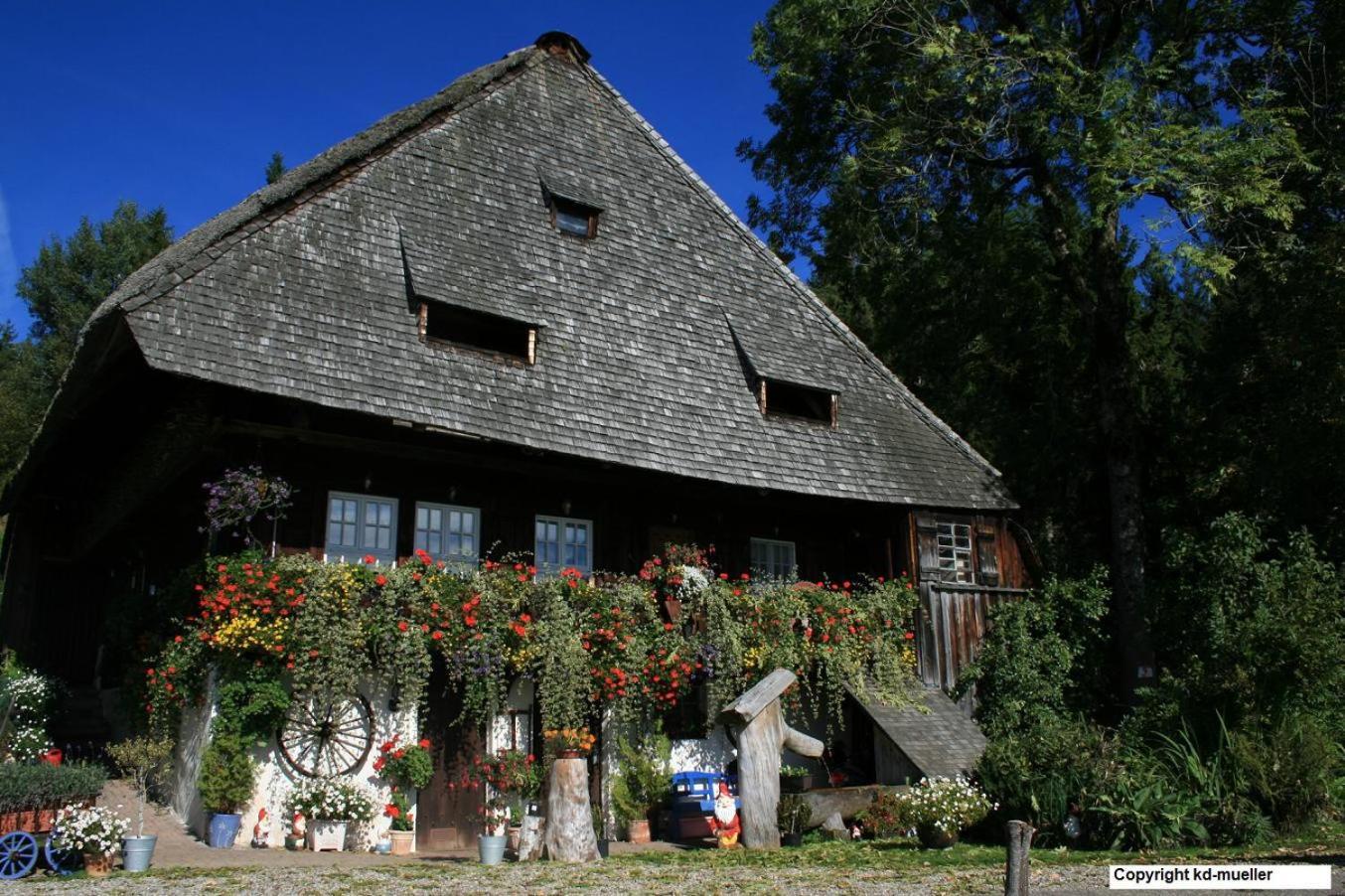 特里贝格Haus Am Waldrand别墅 外观 照片