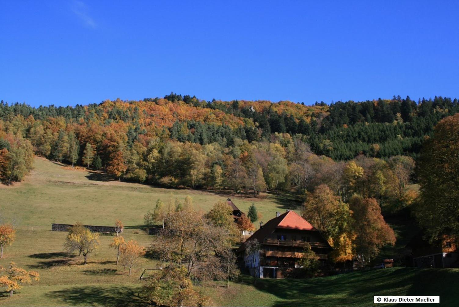 特里贝格Haus Am Waldrand别墅 外观 照片